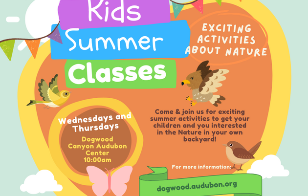 Summer Classes: Plants for Birds for Kids