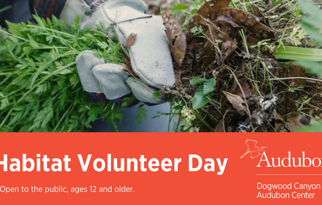 Volunteer Habitat Workday