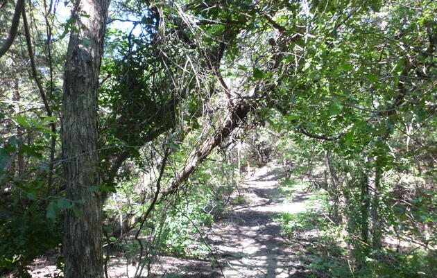 Group Hike