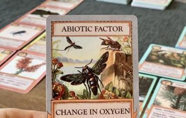 Ecologies Game Afternoon
