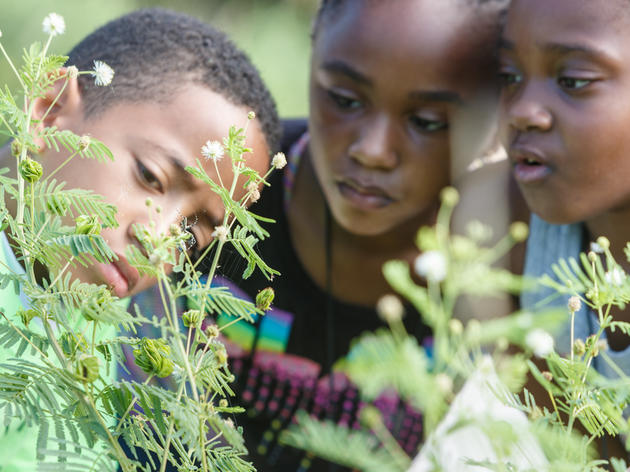 Study Suggests Outdoor Science Education Improves Test Scores