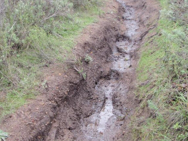 Why Might We Close Trails After Rain?
