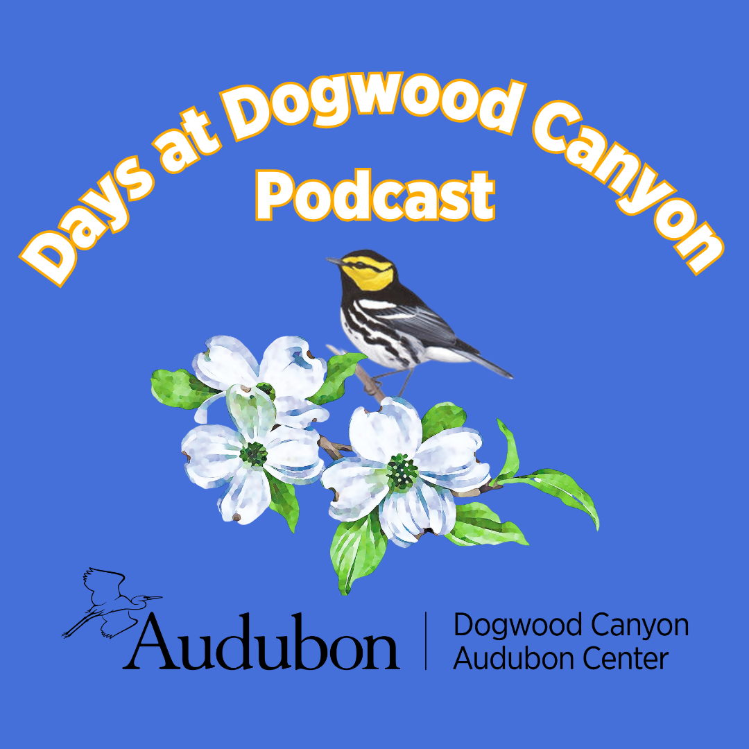 Days at Dogwood Canyon Podcast Logo