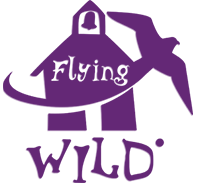 Flying WILD logo