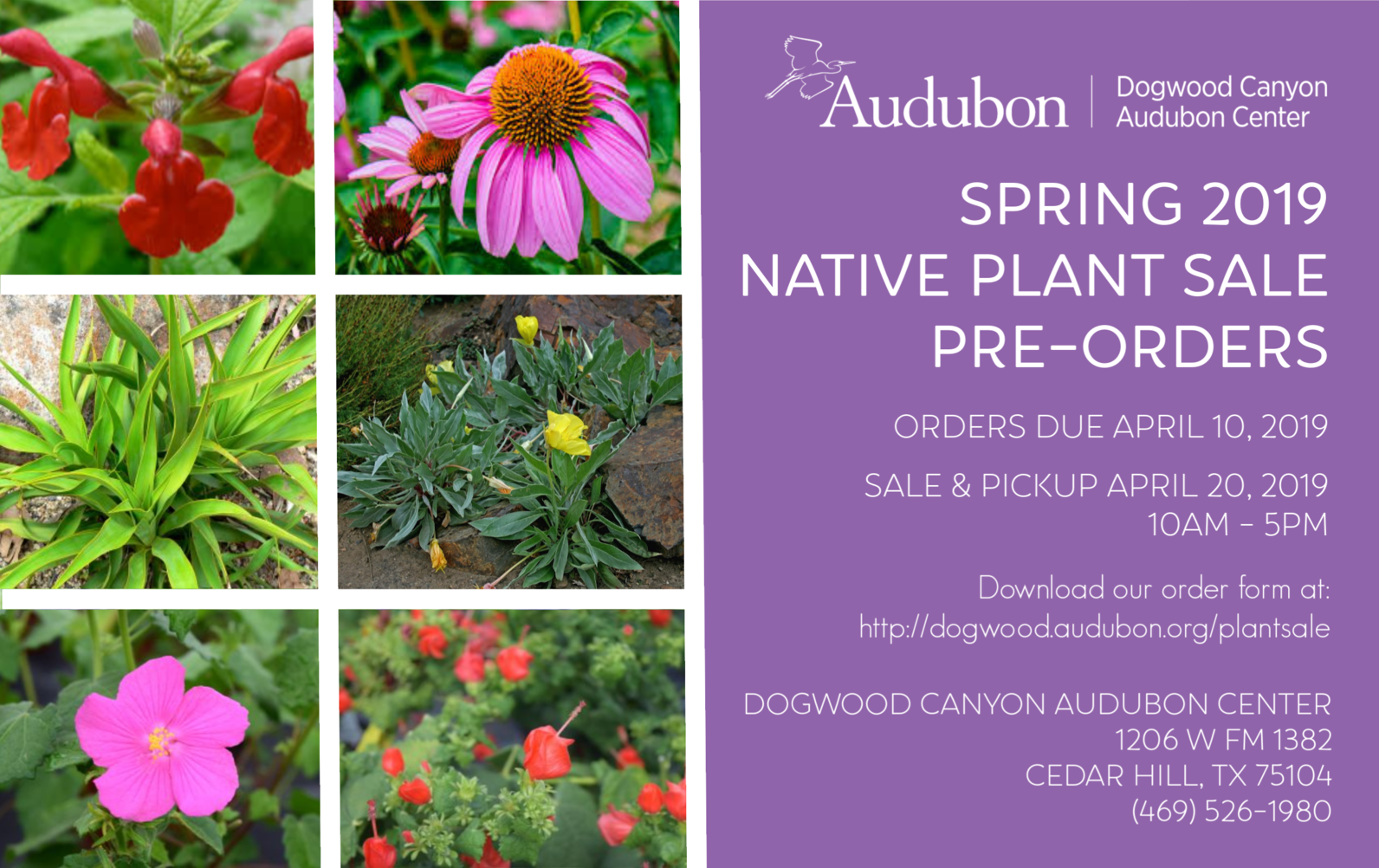 Native Plant Sale | Dogwood Canyon Audubon Center