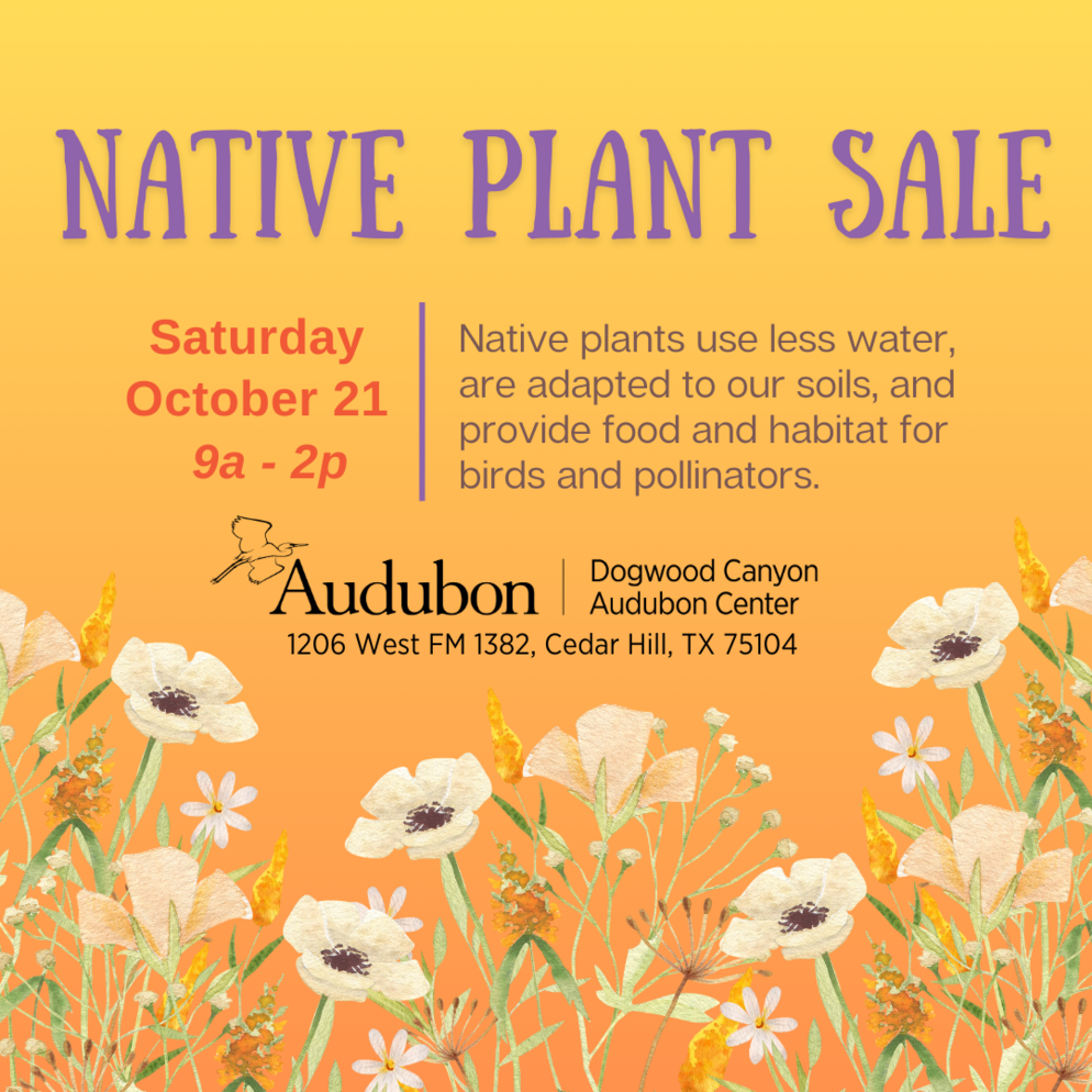 Native Plant Sale Dogwood Canyon Audubon Center