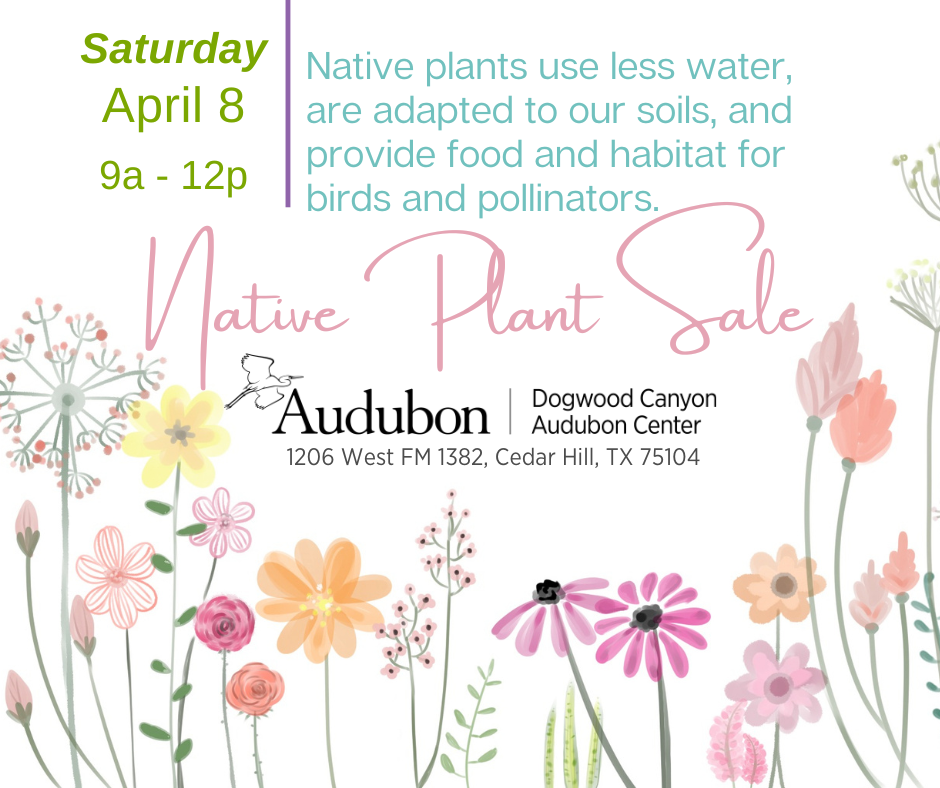 Native Plant Sale Dogwood Canyon Audubon Center